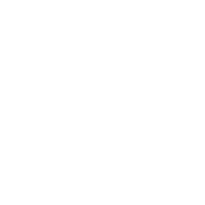 Checklist Icon